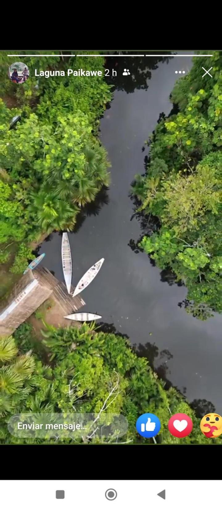 Misahualli Laguna Paikawe B&B Экстерьер фото