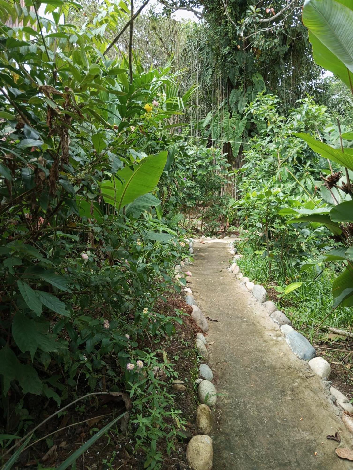 Misahualli Laguna Paikawe B&B Экстерьер фото